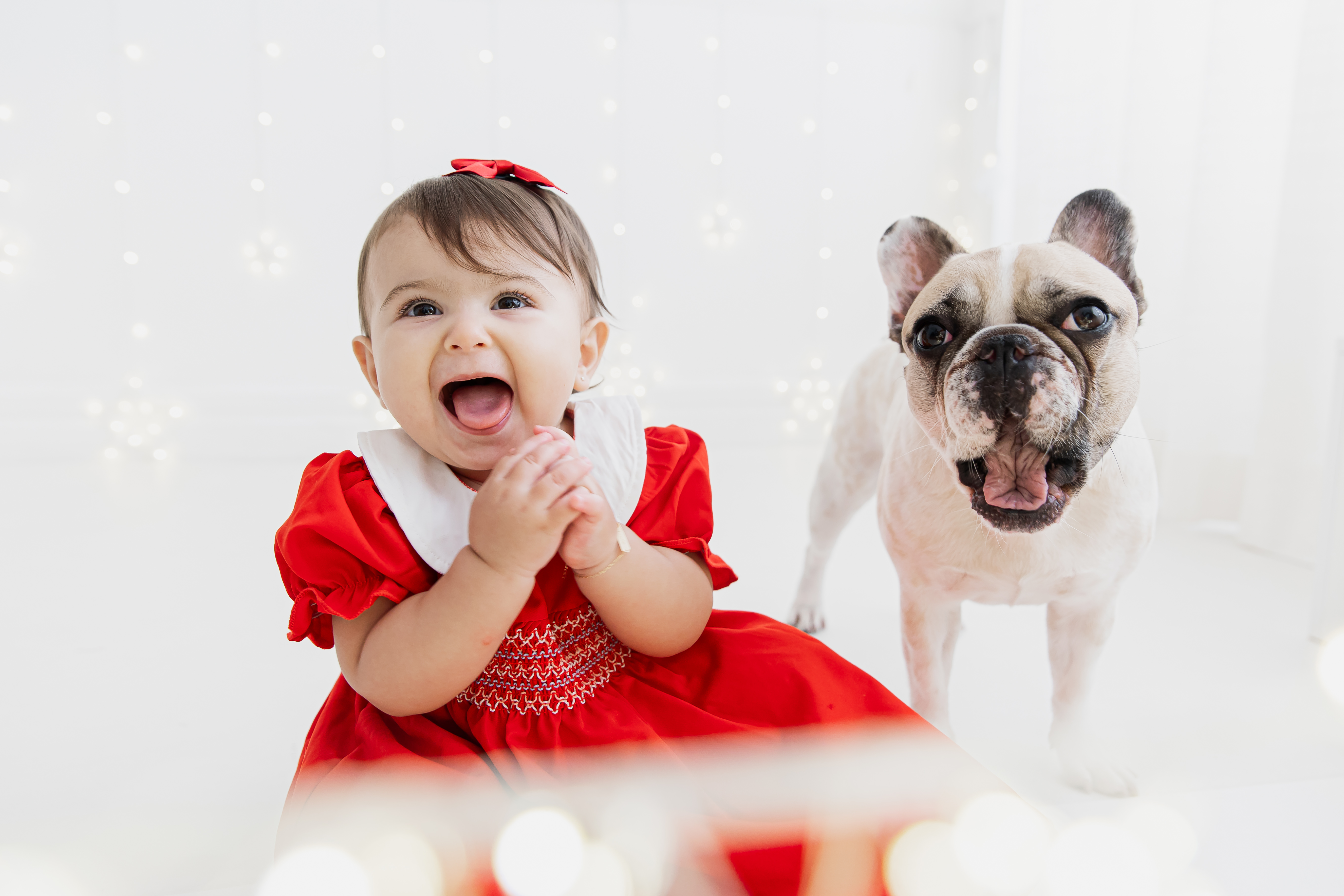 Cenários de Natal e Ano Novo 2025 no Rio de Janeiro - L.A. Foto Estúdio RJ